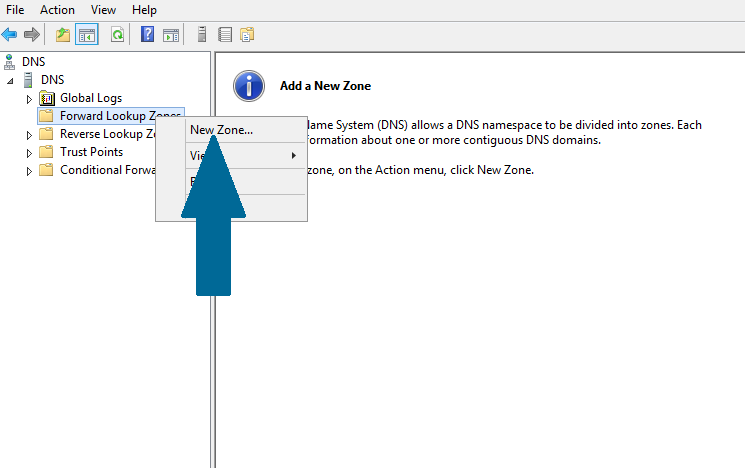 Forward Lookup Zones