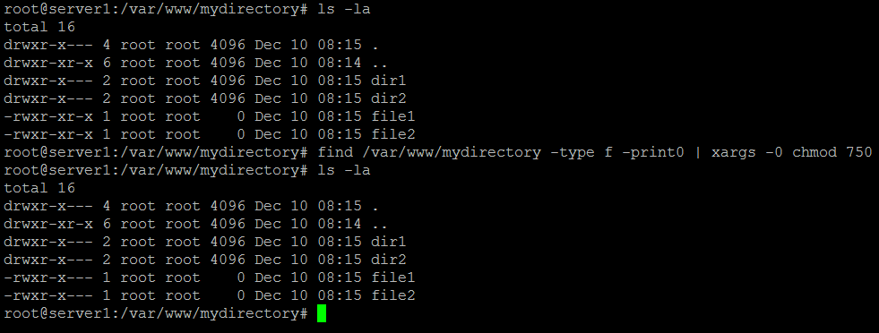 Chmod using xargs