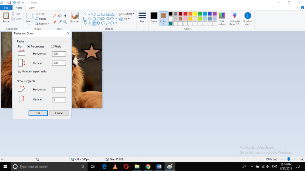 Resize option in paint