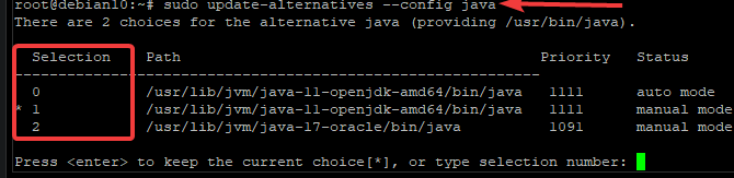 Choose Java version