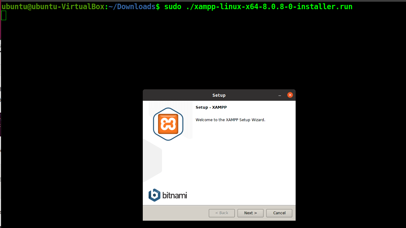 Start XAMPP installation process